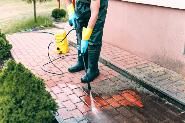 Best Sidewalk and Walkway Cleaning  in Los Fresnos, TX